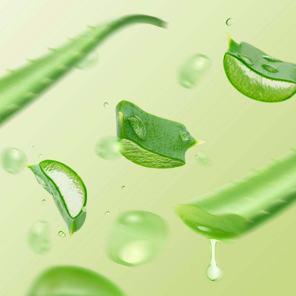 Tuotekuva: Herbina deodorantti roll-on Revitalizing Aloe Vera 50ml